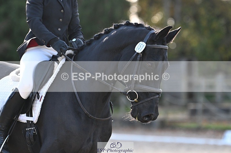 231110-124618-00786 - Cls 3 Novice 22