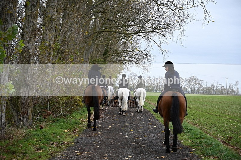WJ6_9429 - Ride