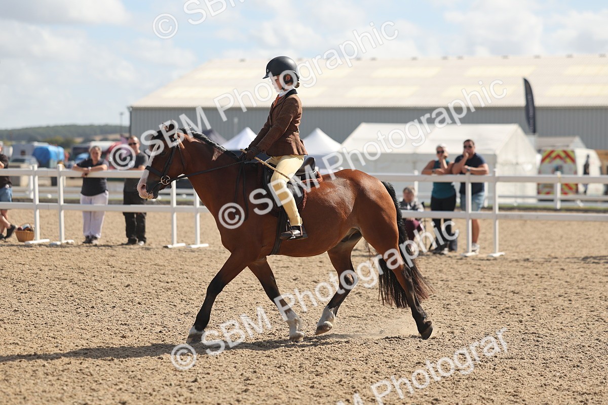 SBM_23104 - Class 806 - Young Rider 10ry and Under