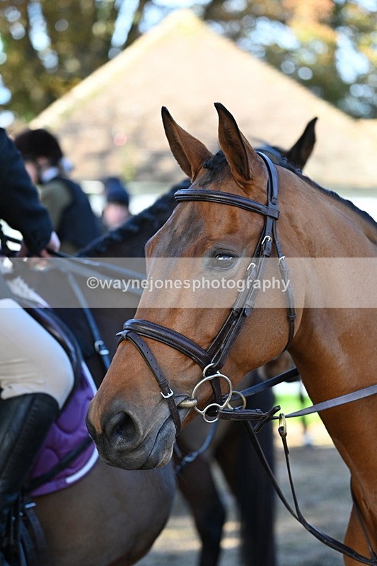 WJ7_0633 - Meet