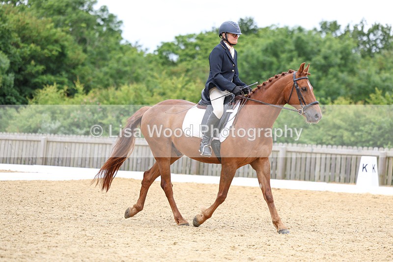 3E7A9363 - Class 2: Intro 1 2024 Section B