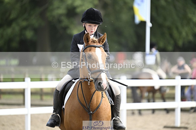 240823X-161104-19080 - 70cm R2 15.20 to 16.40