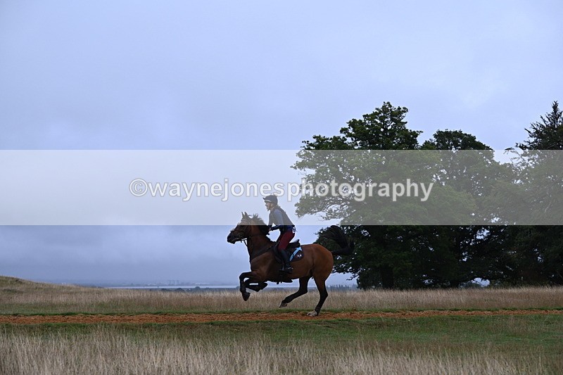 DSC_2402 - Time at Statue 12:34 to 12:56