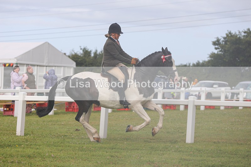 1X9A3036 - Class 26: Ridden Plaited Coloured Pony