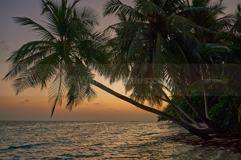  - Maldives