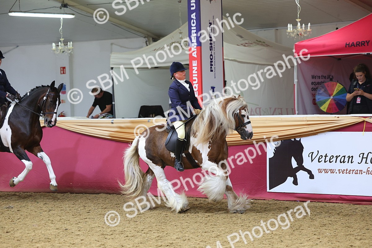 SBM_24538 - Class 906 - Supreme Final - Ridden Pre Vet