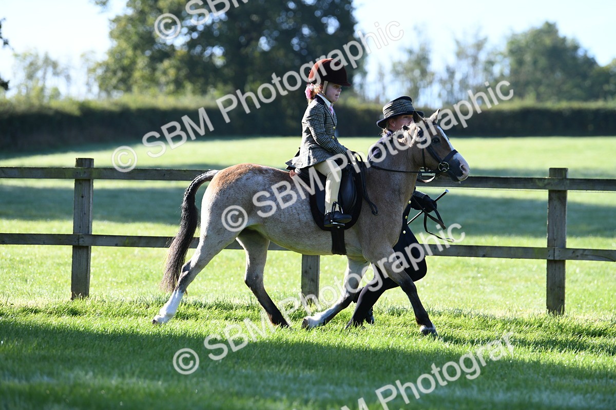 SBM_35351 - S17 - Condition & Turnout - Lead Rein
