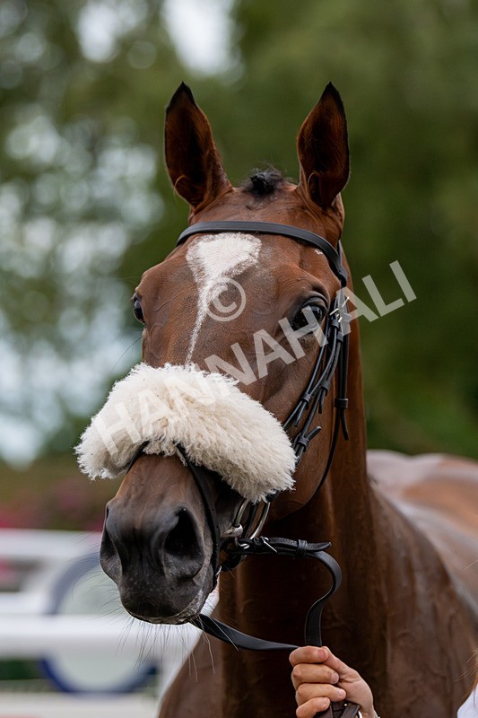 220724-Race 7-Princess Niyla-2484 - Race 7