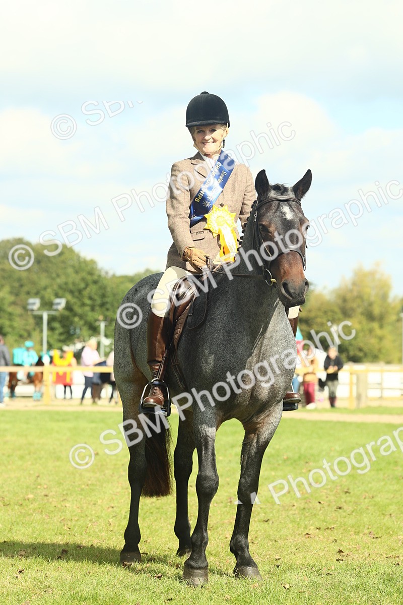 SBM_62693 - S63 - Other Coloured Horse Ridden