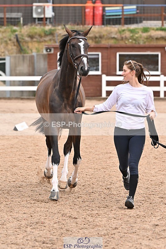 250716-144141-01317 - Trot Up 2.30 to 3.30