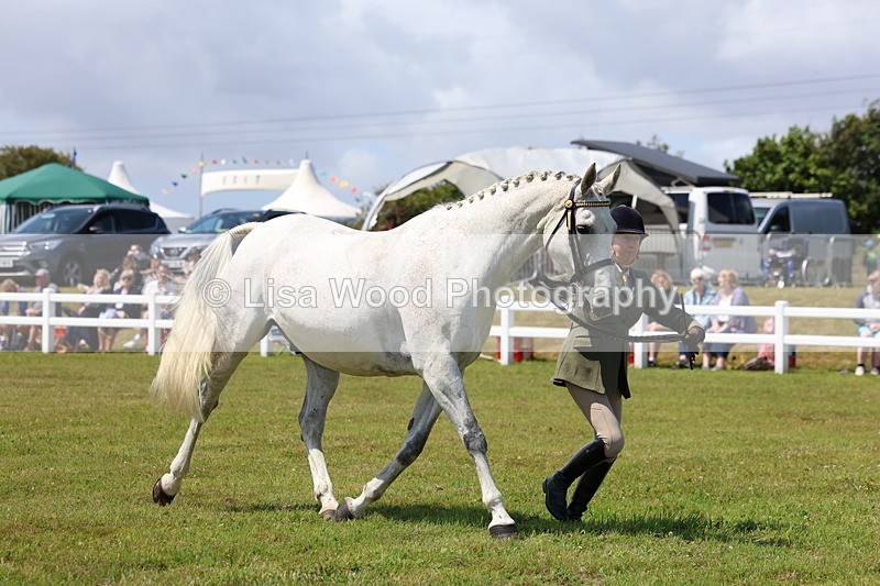 3E7A1202 - Class 8: Open Riding Horse/Hack