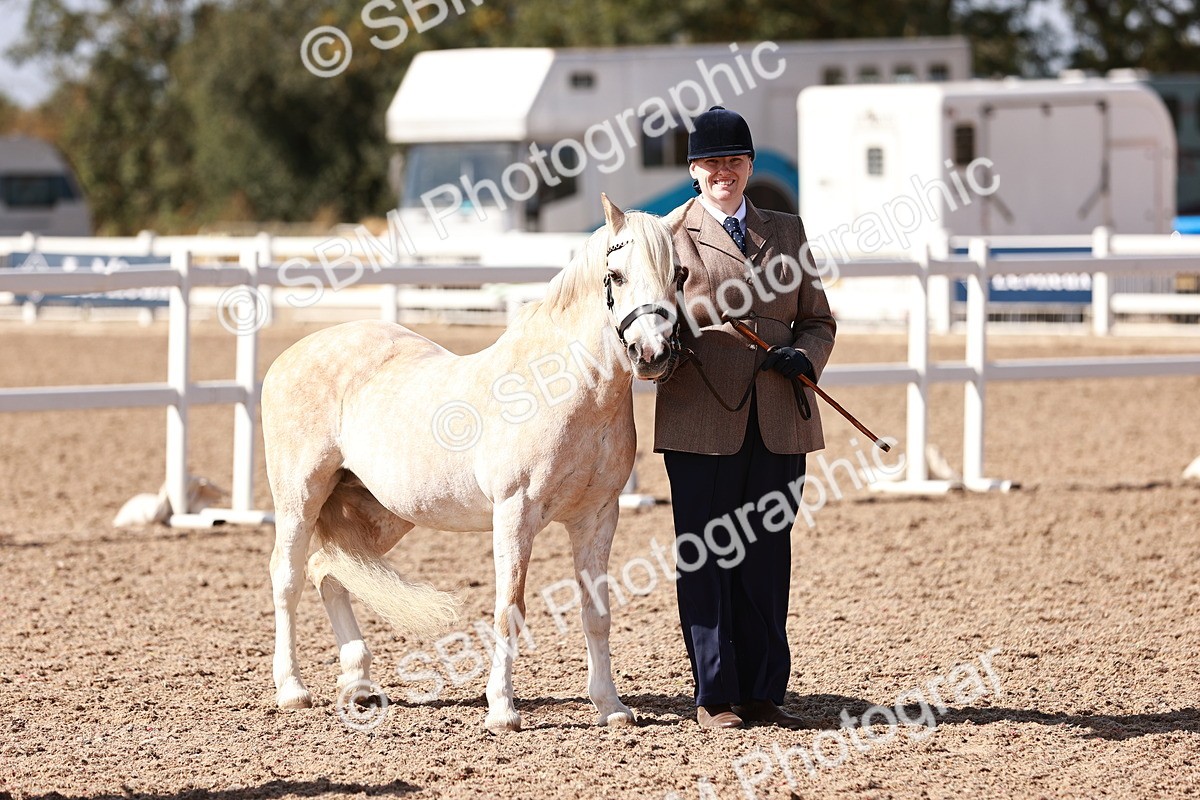 SBM_22980 - Class 707 - IH groom Helpers Class