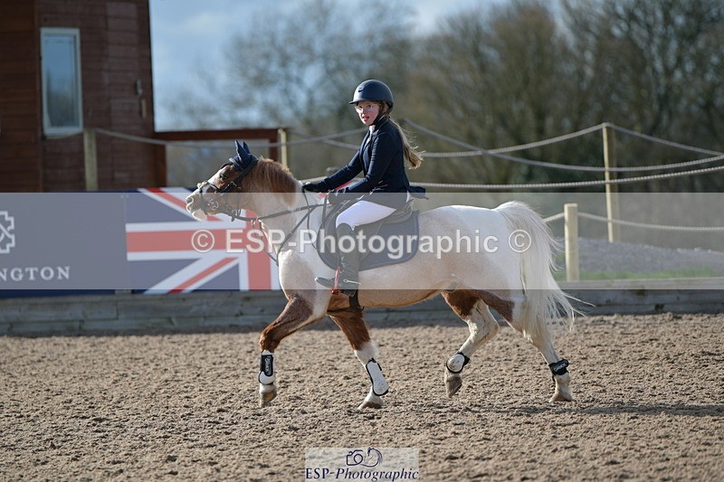 240211A-135024-03269 - Stepping Stones