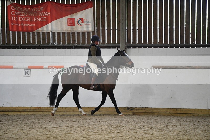 WJ5_7955 - Class 13 Ridden Part Breed