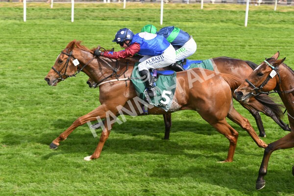 yr12052022r3-21 - Race 3 3.00pm The Paddy Power Hambleton Stakes