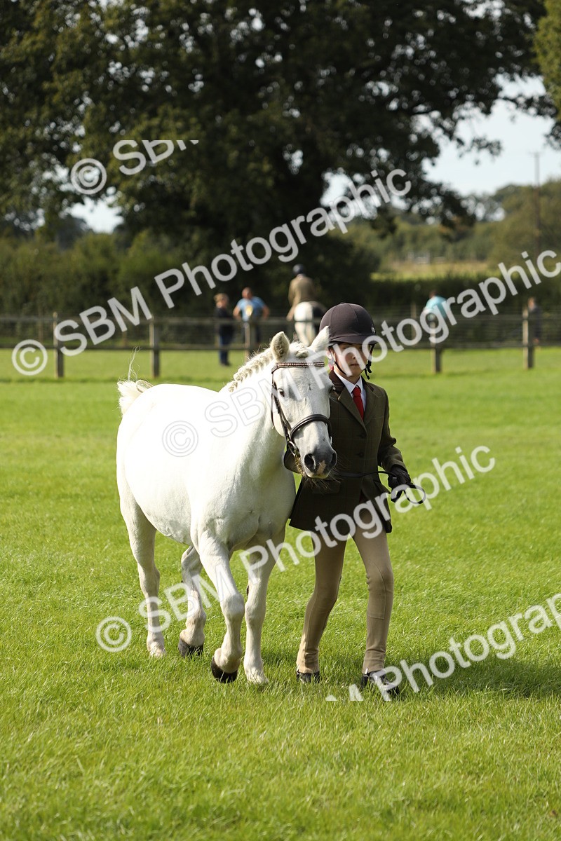 SBM_68644 - S40 - Junior Handler 9-12 Years