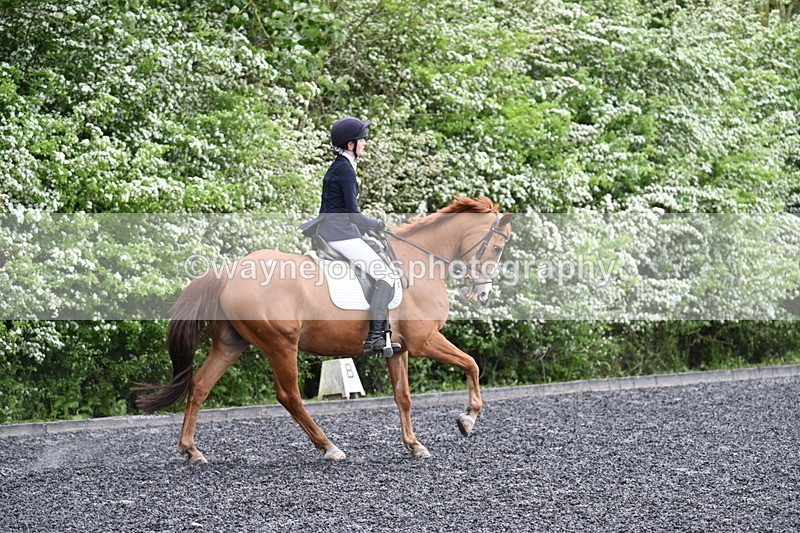 WJ7_1501 - Time 14:58 to 15:03