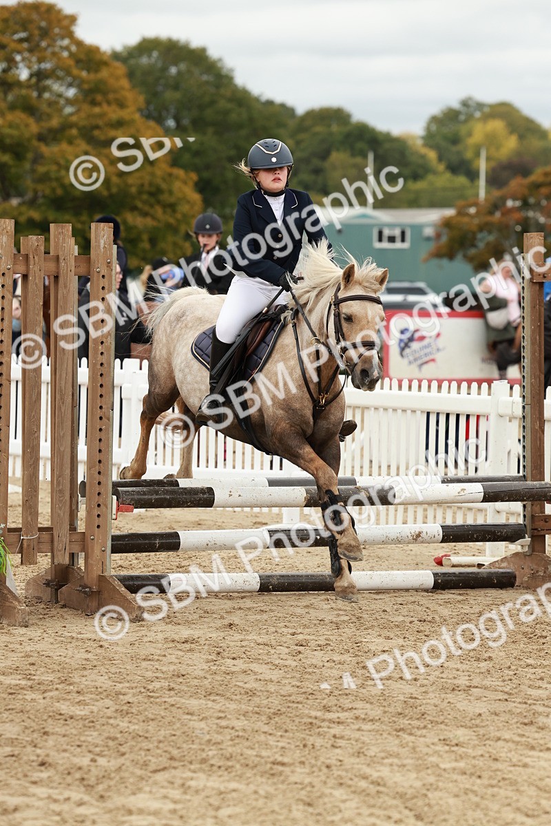 SBM_67077 - J13 - Junior Pony 60cm Championship