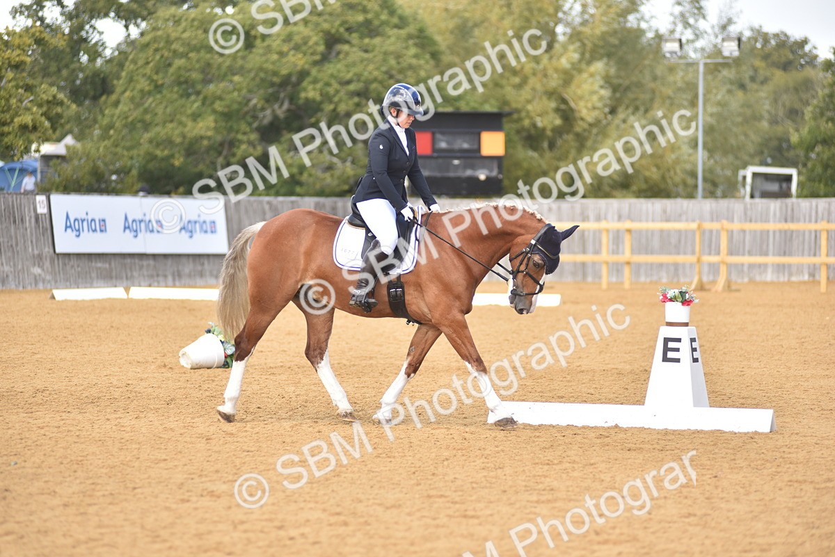 SBM_07828 - D15 - Small Tour Championship Novice 1