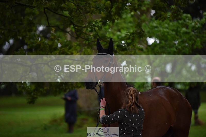 240522-162310-00880 - 204-ZADOK_D-Charlie_Piper