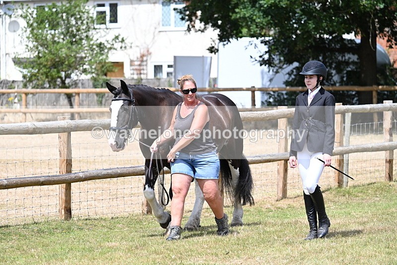 WJ7_1776 - Class 4a Prettiest Mare 14.2hh and over hand