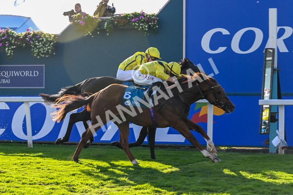 111025-Race 5-Morshdi-8925 - Race 5 Coral 'We're Here For It' EBF Maiden Stakes at York