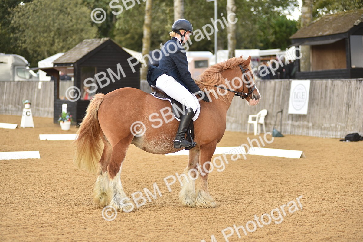 SBM_29632 - D16 -Small Tour Championship Novice 2