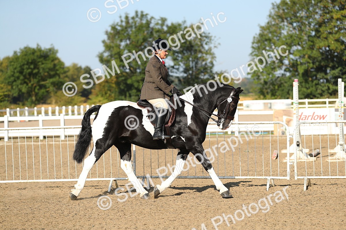 SBM_01112 - Class 42 Ridden Veteran