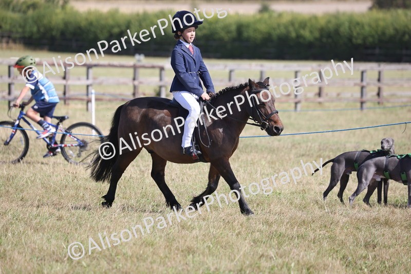 20260906-2575 - Class 18 - Childs First Pony