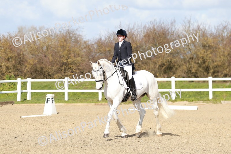 20260314-2959 - DR3 - Prelim 1