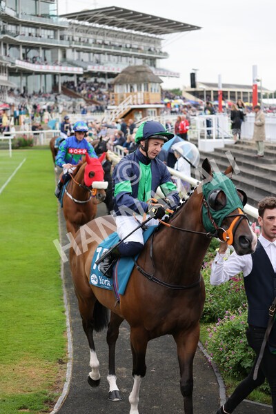 yr22072022r3-20 - Race 3 6.20pm Tomahawk Stakes