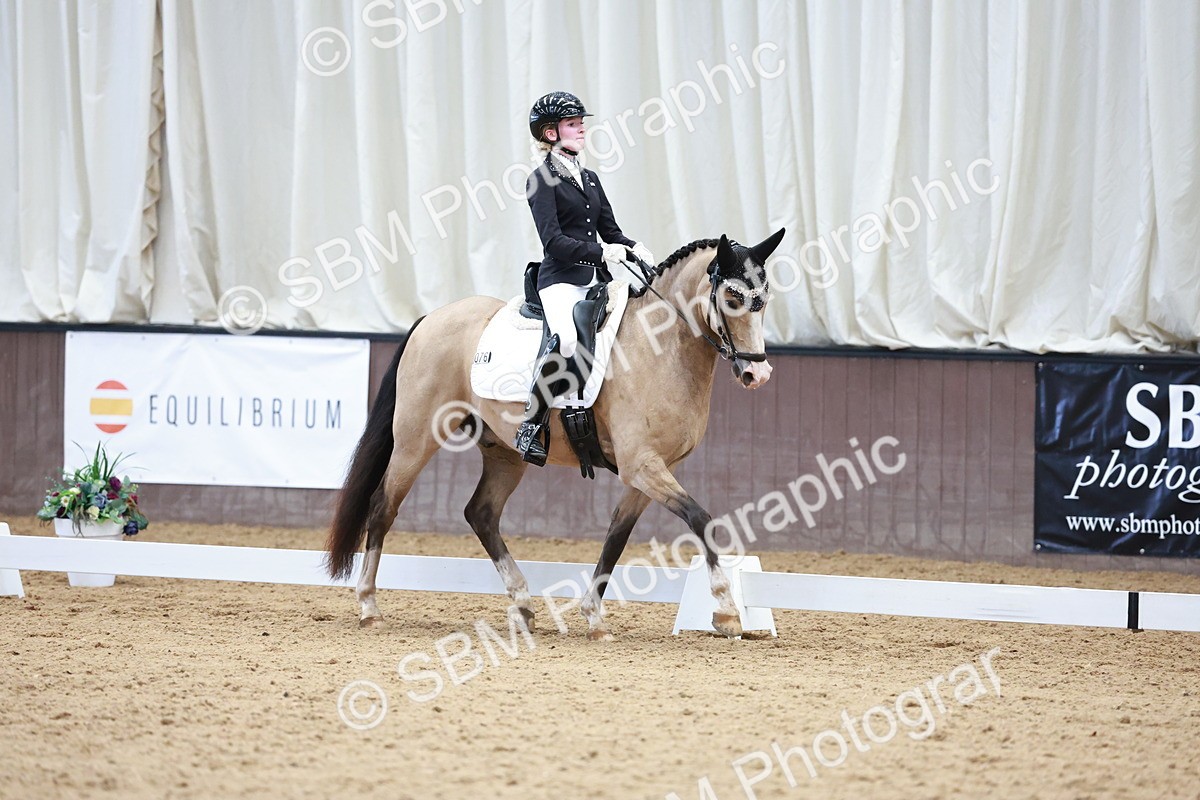 SBM_017348 - Class15 - FEI Pony