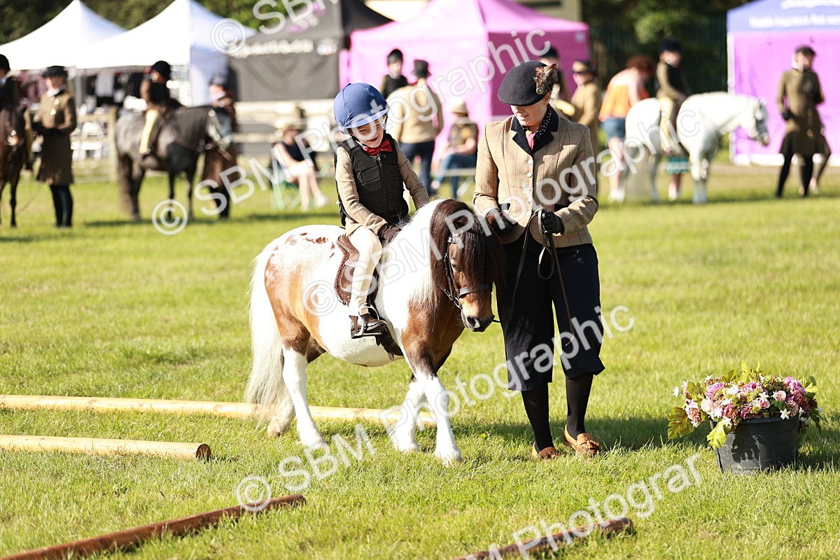SBM_11182 - Class 106-107 - BSPS LIHS Working Sports Pony