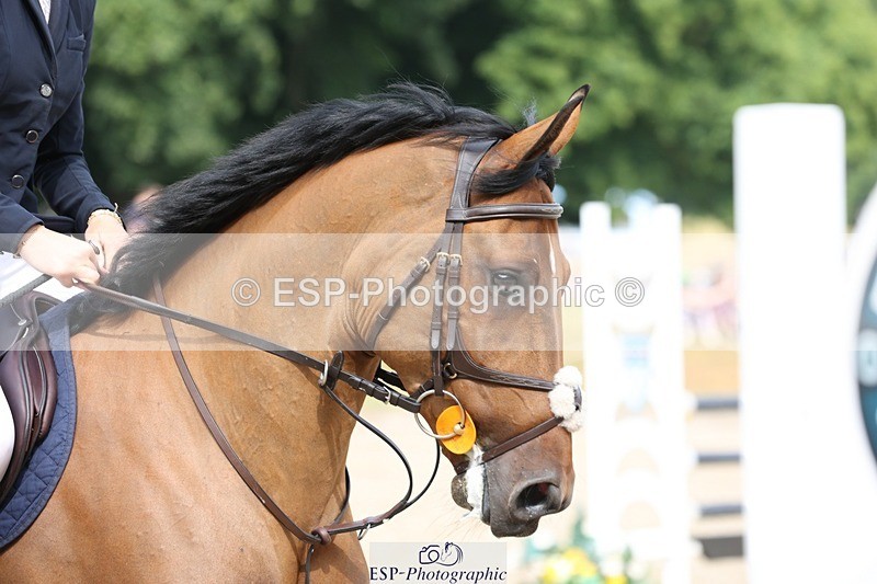 230617-100713-01031 - Cls 08a Pony 1.05