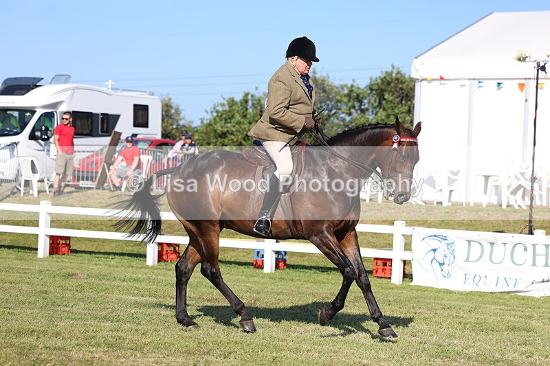 3E7A5334 - Class 2: Rising Star Large Hack/Riding Horse
