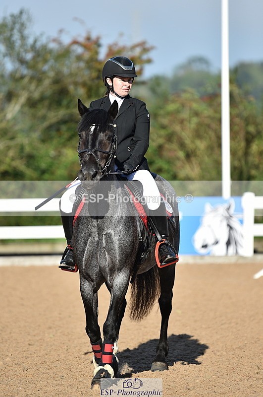 230903A-091138-03454 - Cls 17 Pony Intro 75cm