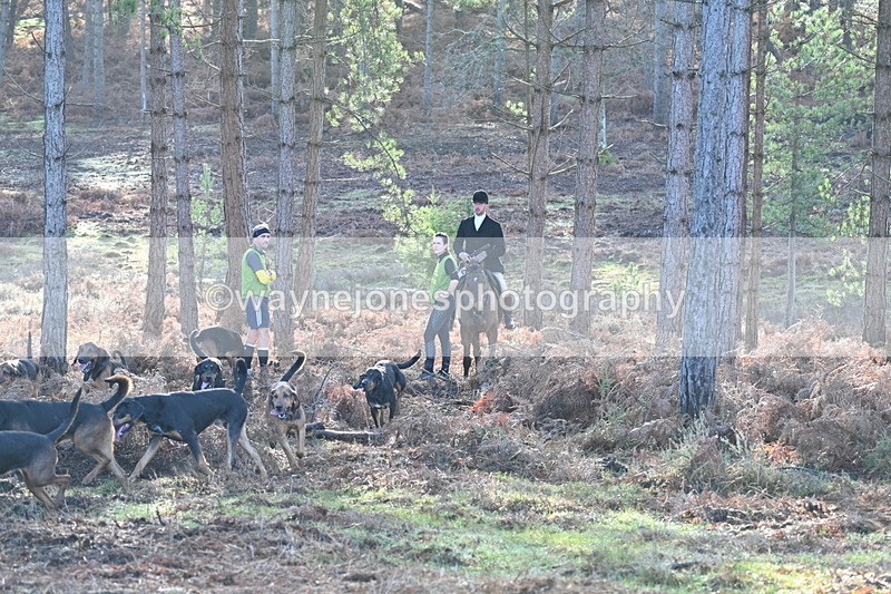 WJ7_7189 - Line 3 (no line 4 or 5)