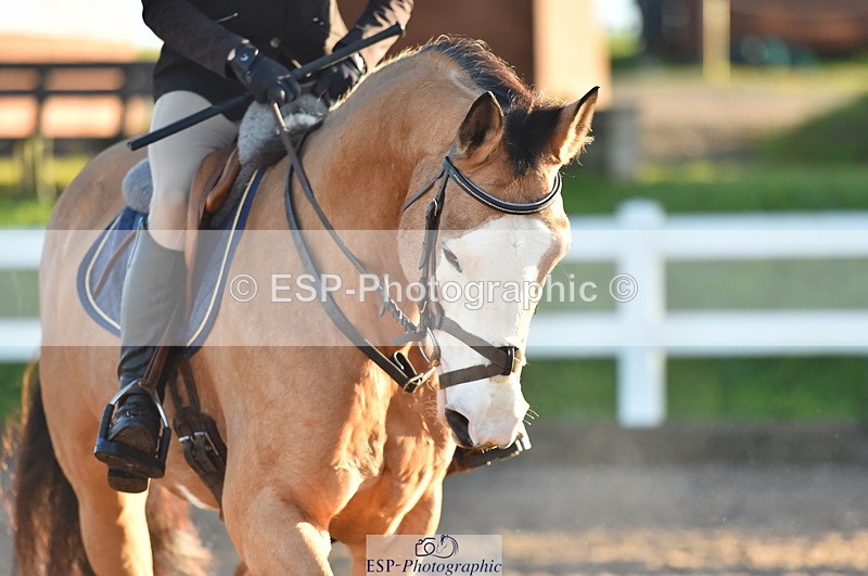 231111A-021330-01171 - Cls 8 Clear Round