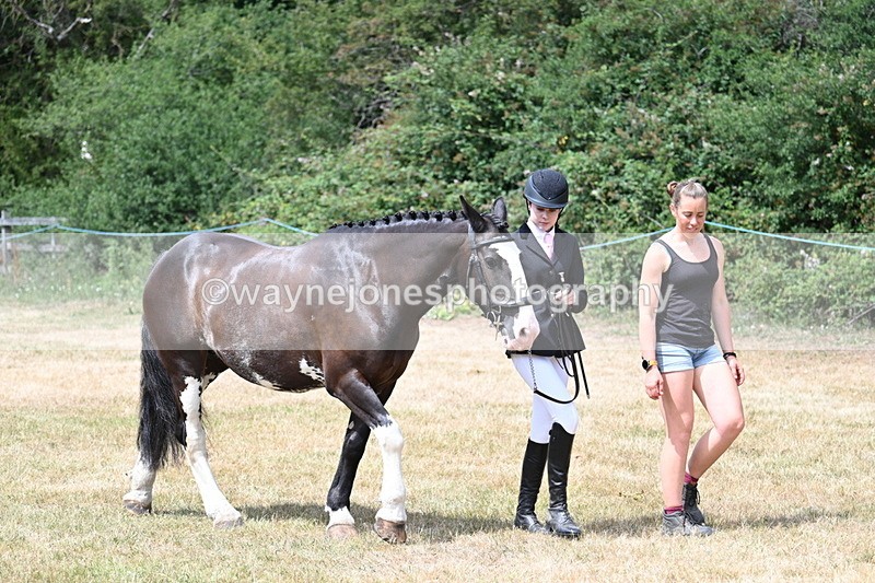 WJ7_1930 - Class 4a Prettiest Mare 14.2hh and over hand