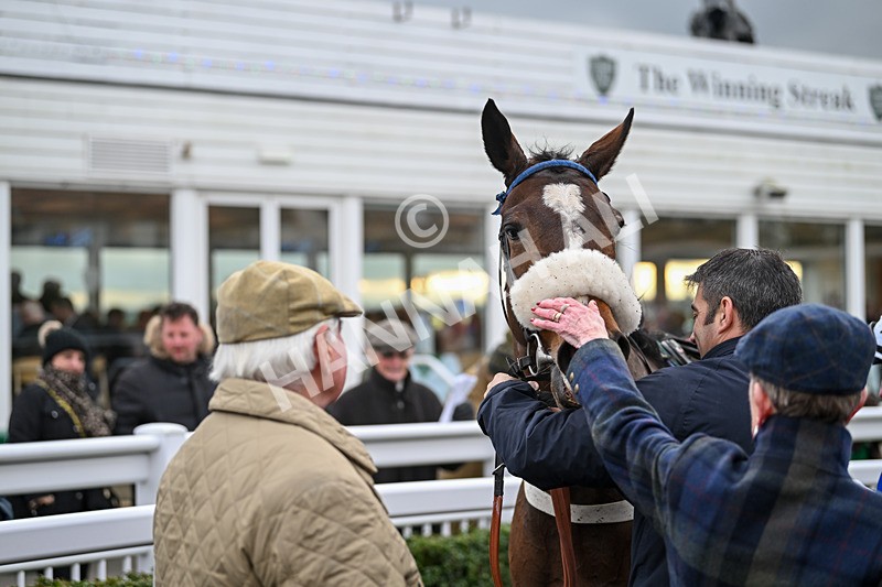 171224-Race 5-Wrappedinrubies-3516 - Race 5