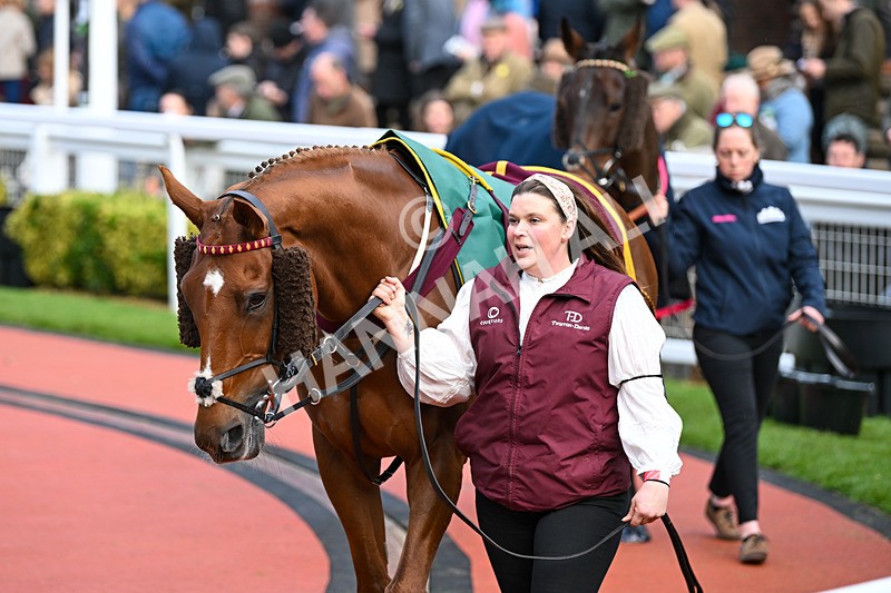 171124-Race 4-Paddock-Undersupervision-3292 - Race 4