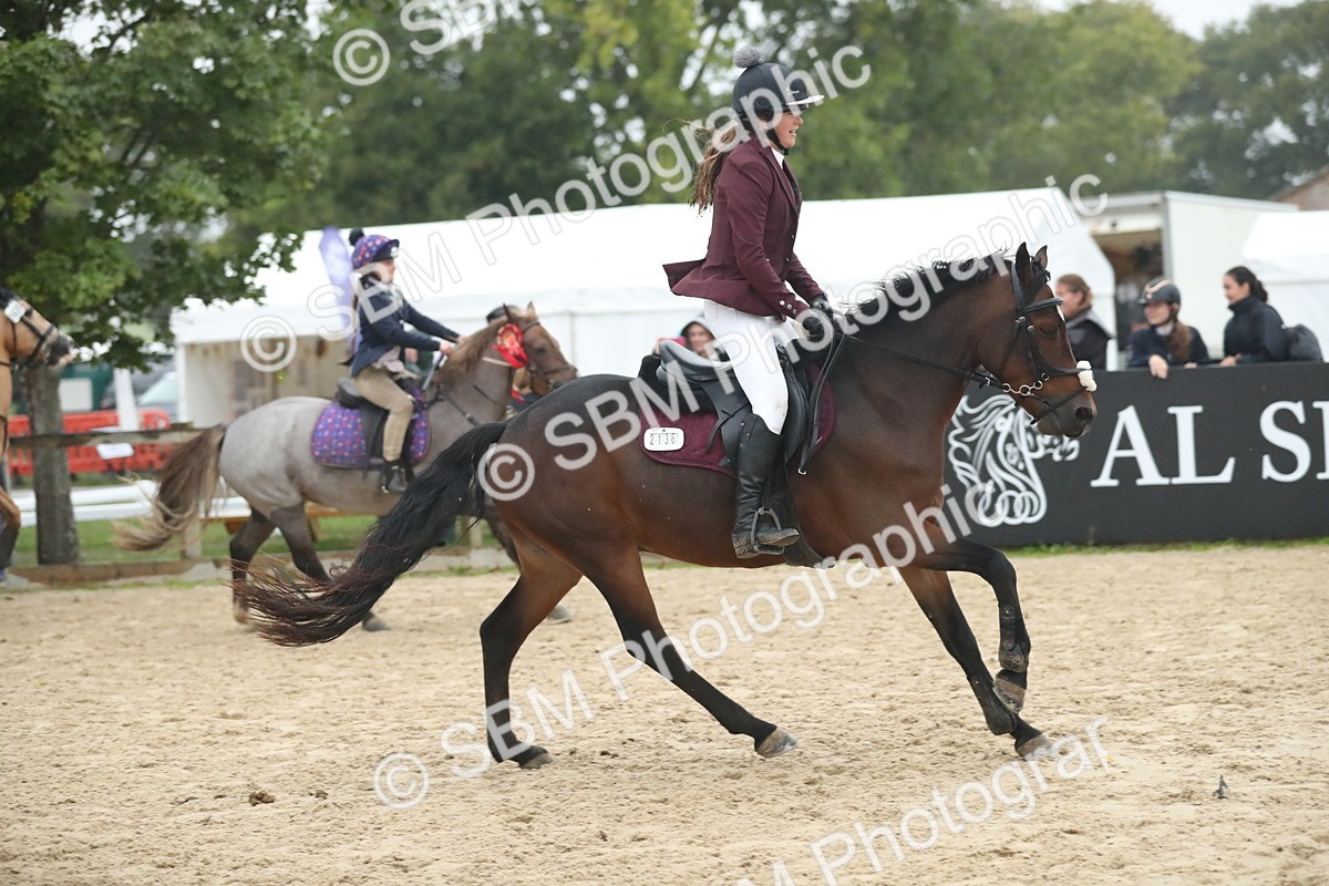 SBM_74346 - Supreme championship Junior Pony 70cm 75cm