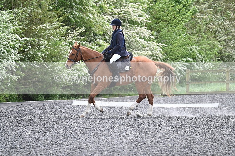 WJ7_0806 - Time 14:01 to 14:12