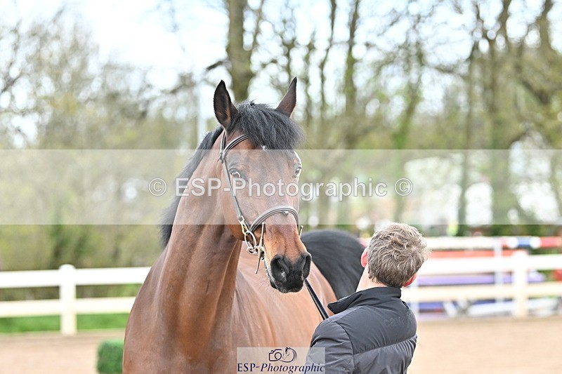 240417A-124104-00176 - 12pm to 1pm