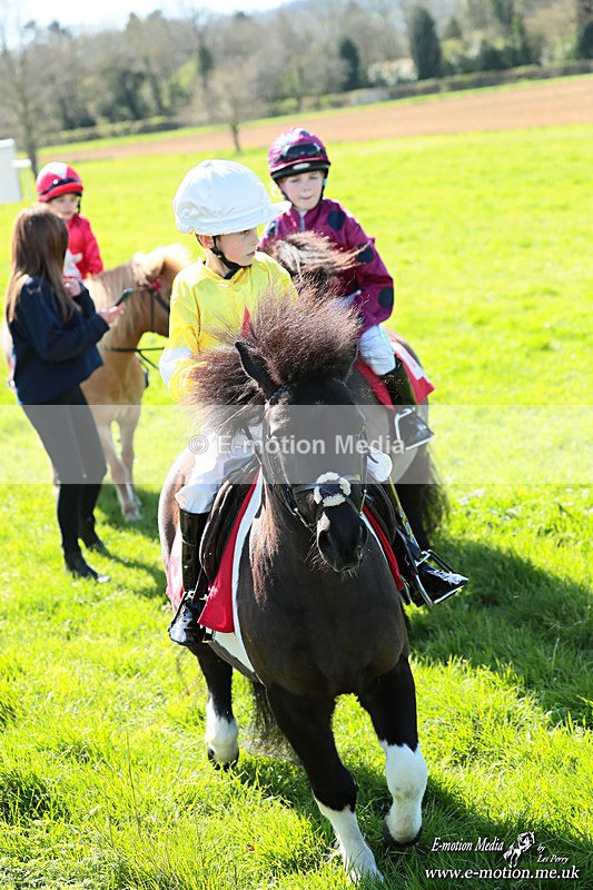 Shet 060426 240 - Shetland Pony Racing Paxford Races Easter Mon 06/04/26