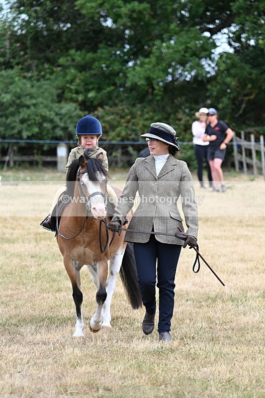 WJ7_9565 - Class 1 Lead Rein Pony