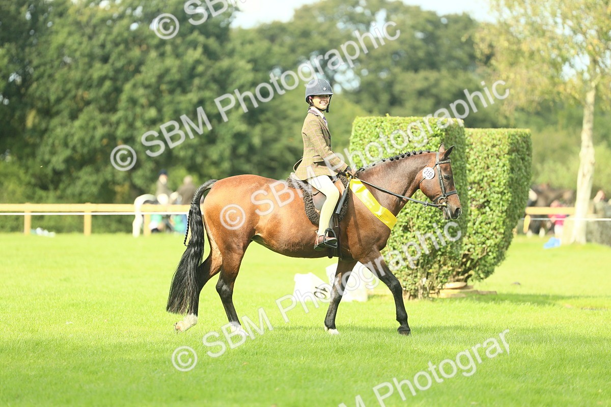 SBM_44877 - Working Hunter Pony Supreme Championship