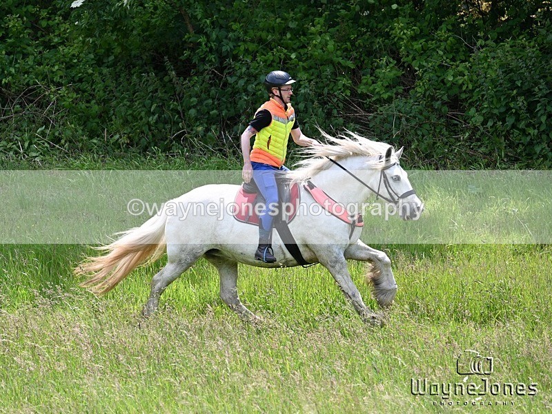 WJ7_8784 - Edited examples