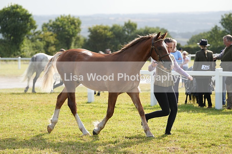 DSC04806 - Class 47: NPS M&M Yearling