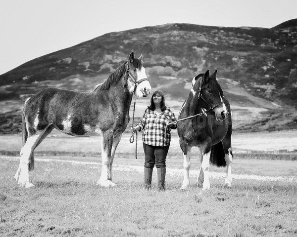 jane horses-11 - Janes Horses